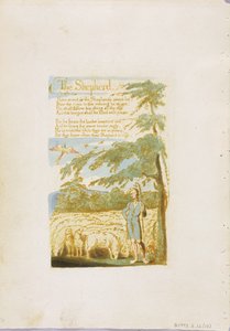 „Pasterz”, płyta 15 z „Pieśni o niewinności”, 1789 (akwaforta płaskorzeźba z wc na papierze) autorstwa William Blake